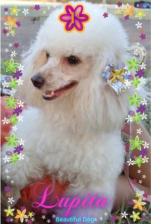Lupita 1º Lugar