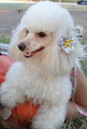 Lupita