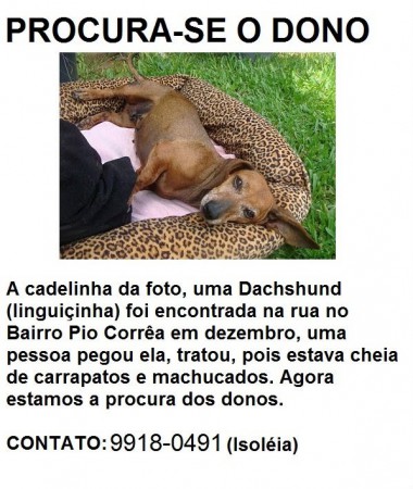 Procura-se o Dono