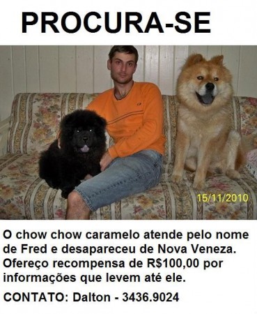 Procura-se