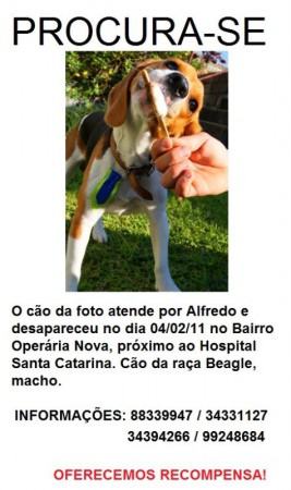 Procura-se