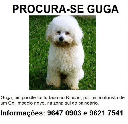 Procura-se