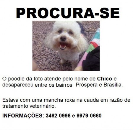 Procura-se