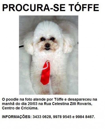 Procura-se