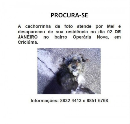 Procura-se