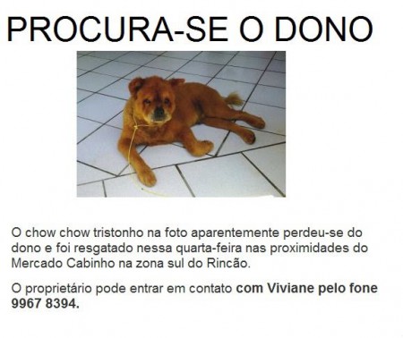 Procura-se o Dono